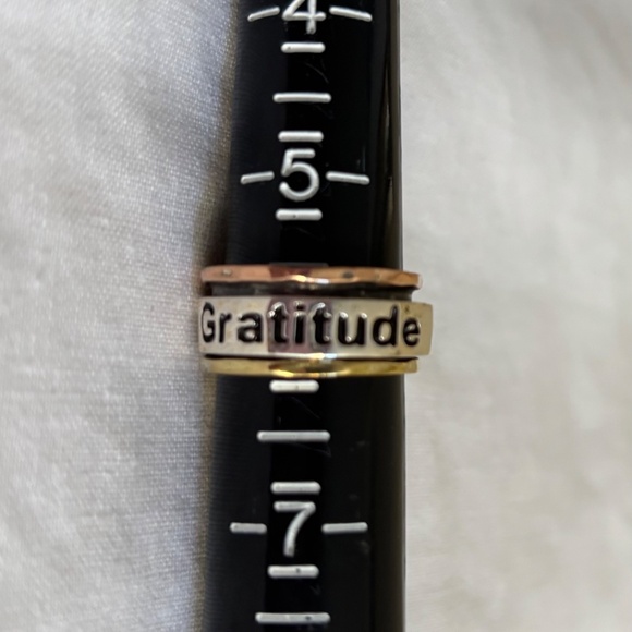 Sterling Spin Ring, Love, Praise, Gratitude, Size 6 - Picture 5 of 5